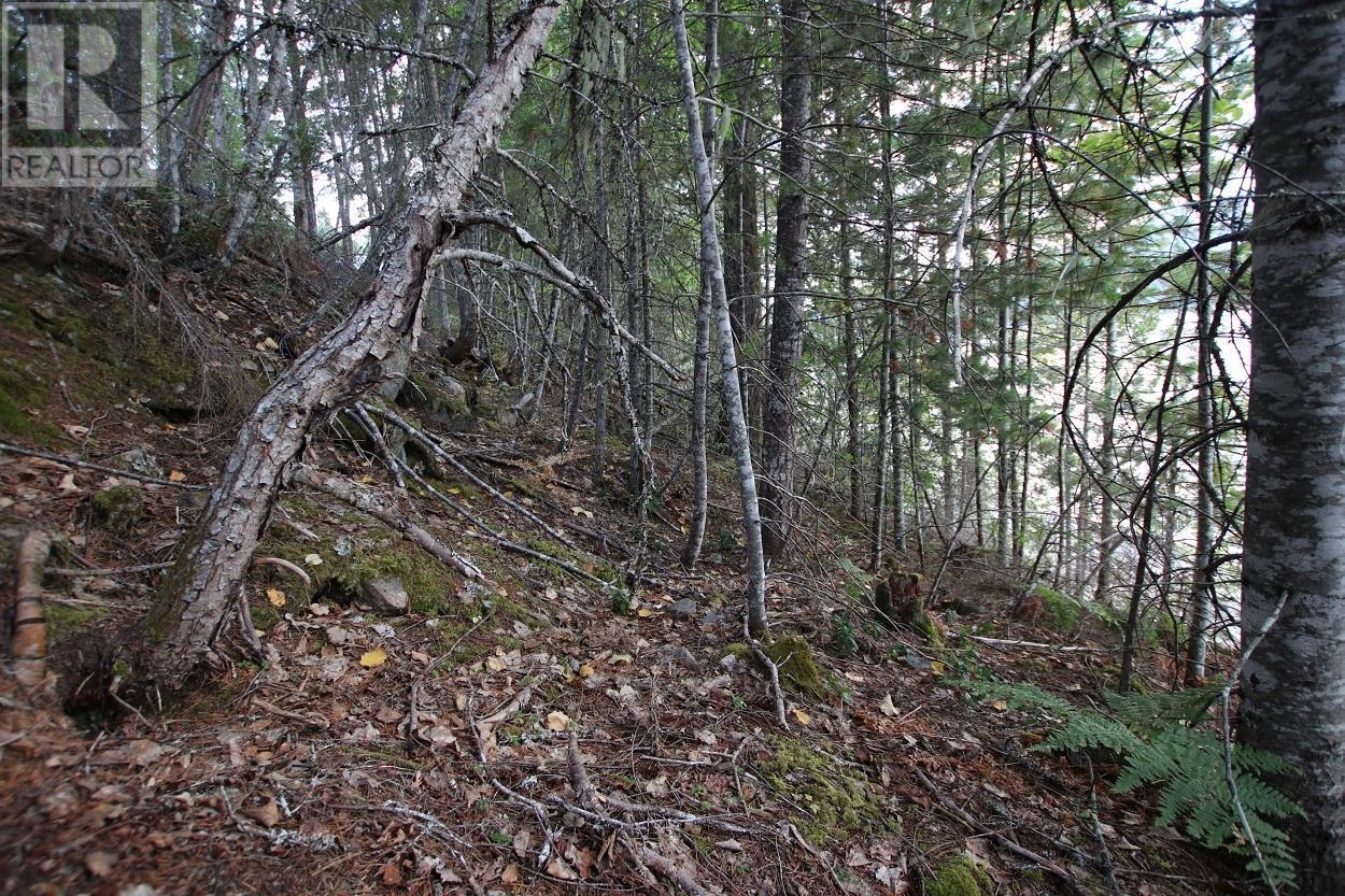 5621 Highway 23, Nakusp, British Columbia  V0G 1R1 - Photo 9 - 2472858