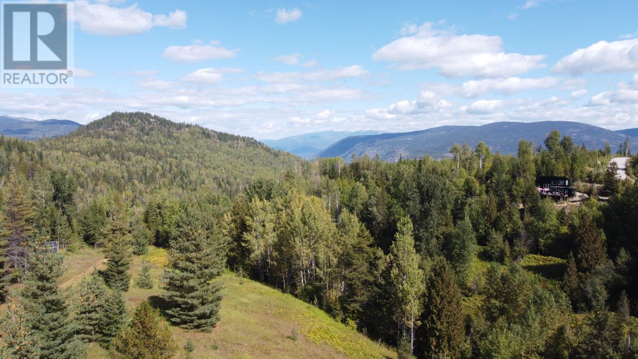 270 Richie Road, Rossland, British Columbia  V0G 1Y0 - Photo 21 - 2473318