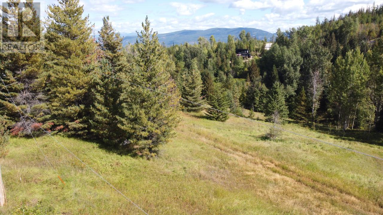 270 Richie Road, Rossland, British Columbia  V0G 1Y0 - Photo 6 - 2473318