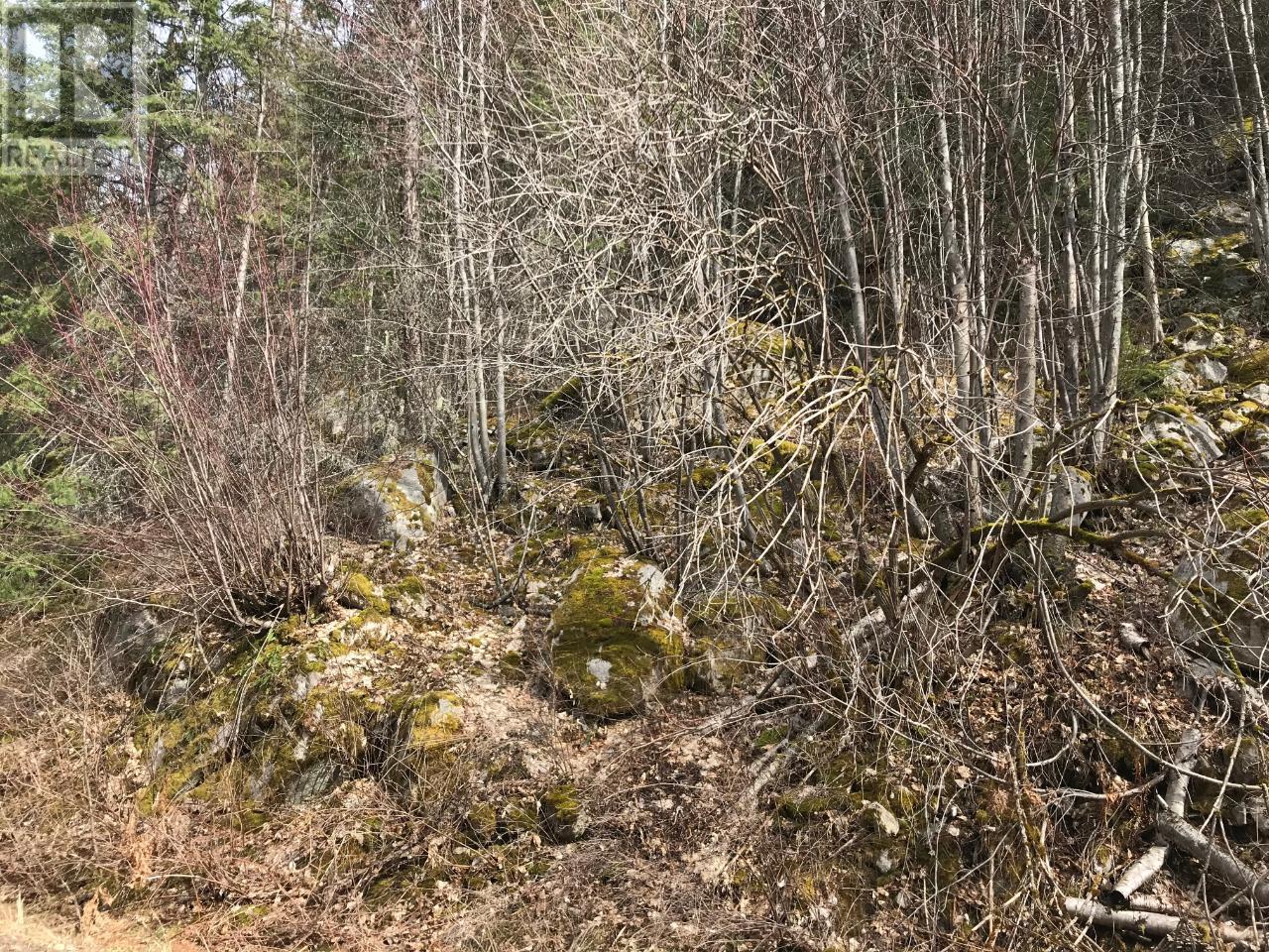 Lot 2 Bealby Point Road, Nelson, British Columbia  V1L 5P3 - Photo 21 - 2473485