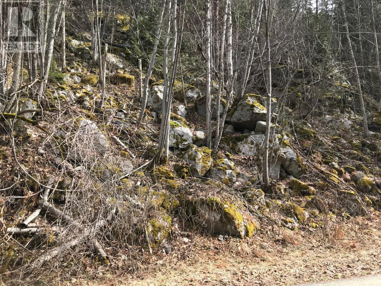 Lot 2 Bealby Point Road, Nelson, British Columbia  V1L 5P3 - Photo 22 - 2473485