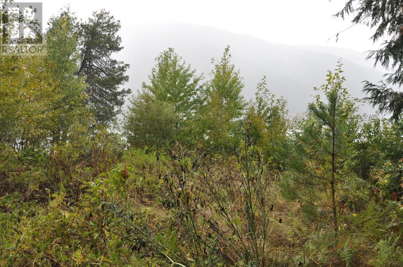 Lot 2 Bealby Point Road, Nelson, British Columbia  V1L 5P3 - Photo 40 - 2473485