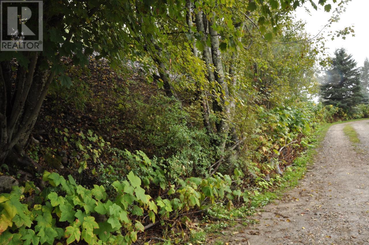 Lot 2 Bealby Point Road, Nelson, British Columbia  V1L 5P3 - Photo 41 - 2473485