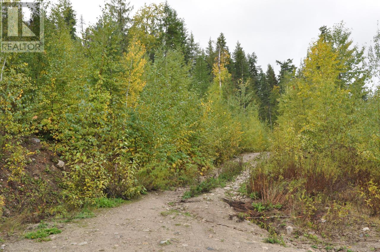 Lot 2 Bealby Point Road, Nelson, British Columbia  V1L 5P3 - Photo 44 - 2473485