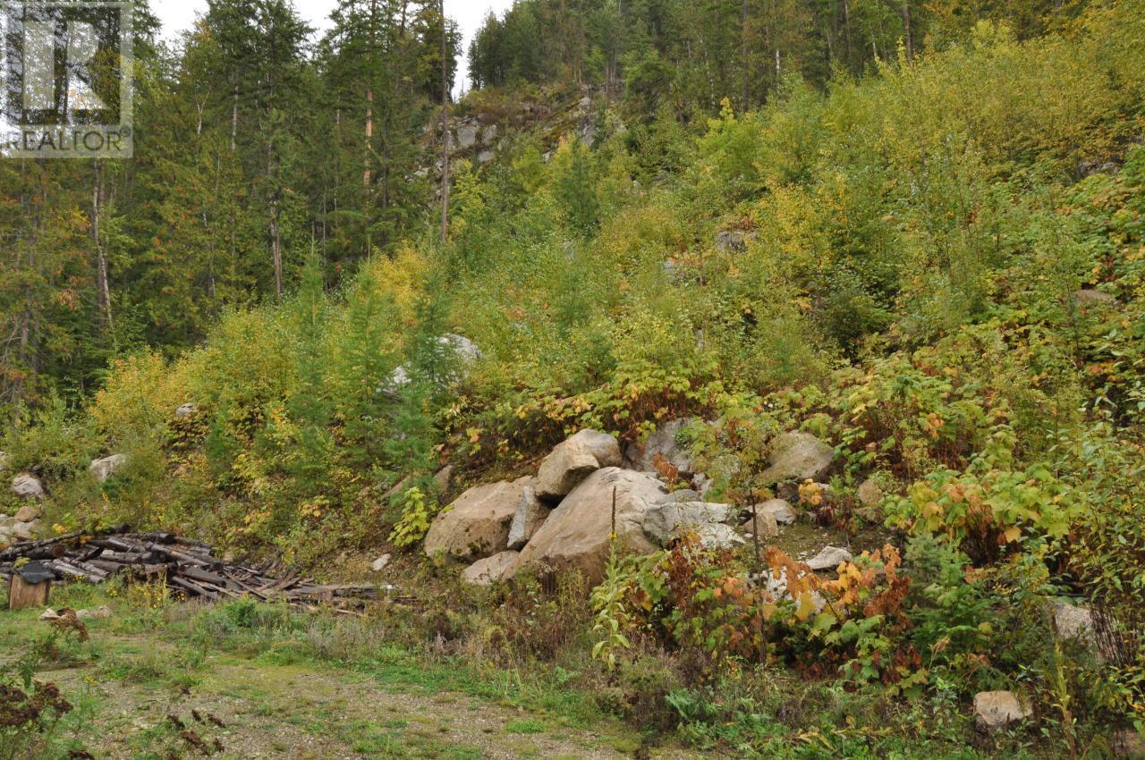 Lot 2 Bealby Point Road, Nelson, British Columbia  V1L 5P3 - Photo 52 - 2473485