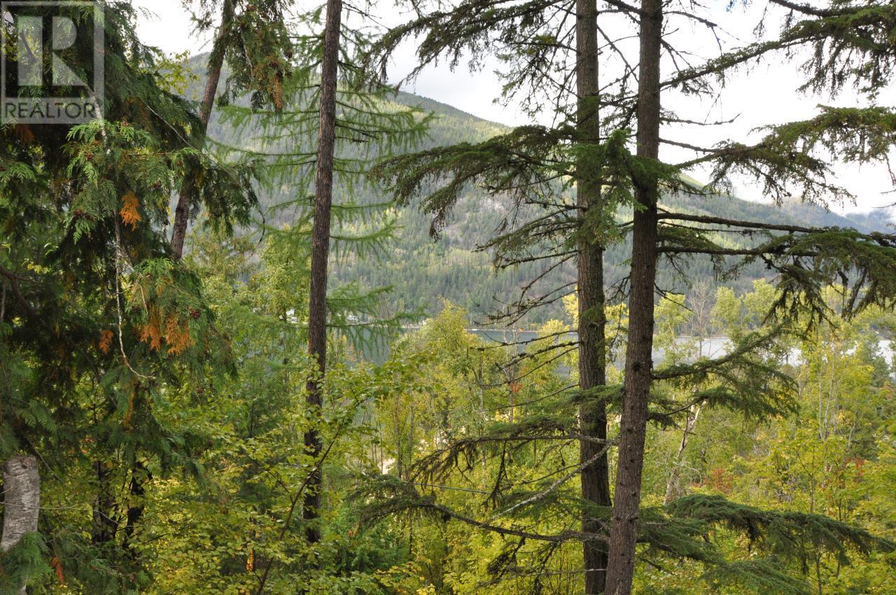 Lot 2 Bealby Point Road, Nelson, British Columbia  V1L 5P3 - Photo 56 - 2473485