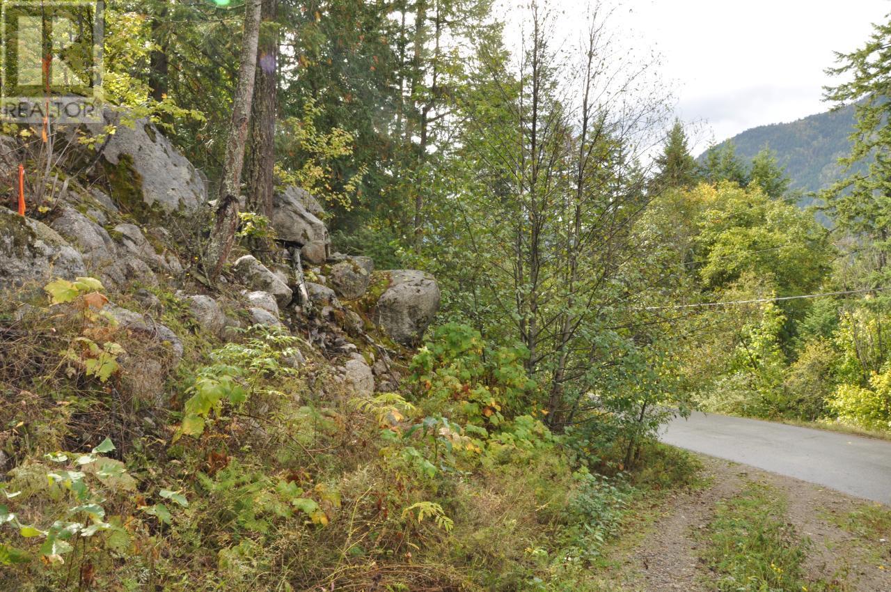 Lot 2 Bealby Point Road, Nelson, British Columbia  V1L 5P3 - Photo 58 - 2473485