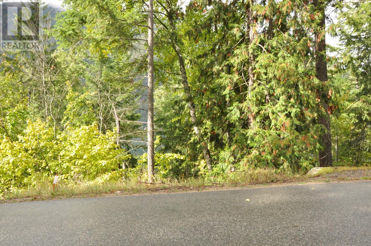 Lot 2 Bealby Point Road, Nelson, British Columbia  V1L 5P3 - Photo 60 - 2473485
