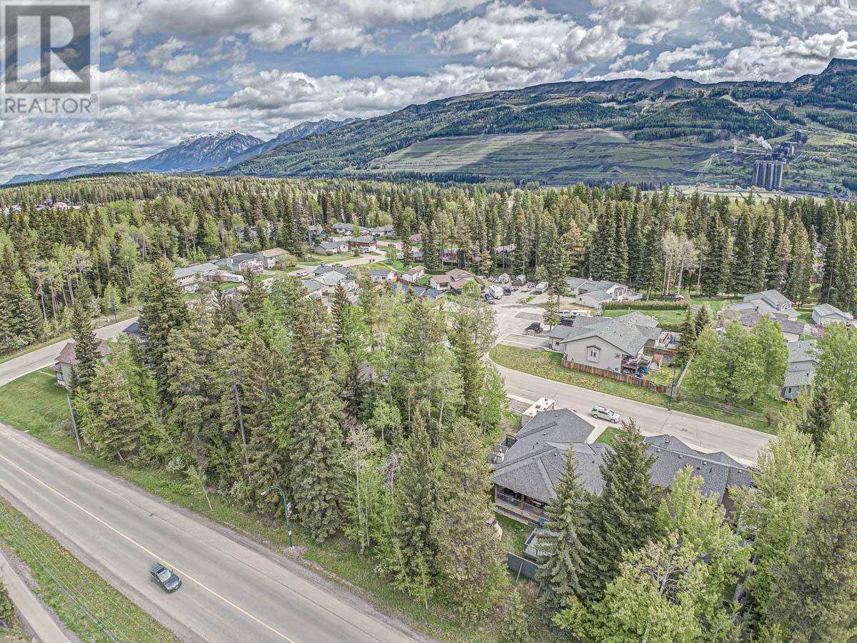 1323 Wildwood Drive, Sparwood, British Columbia  V0B 2G2 - Photo 4 - 2474466
