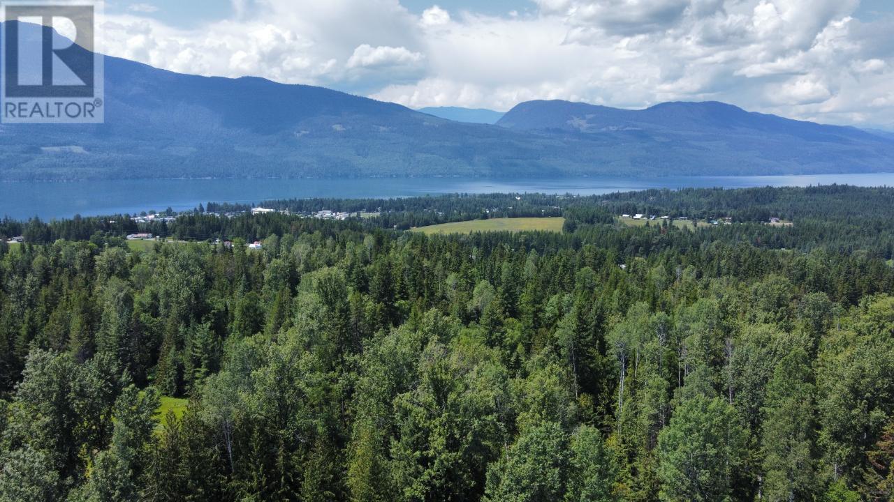 432 Alexander Road, Nakusp, British Columbia  V0G 1R1 - Photo 33 - 2474563