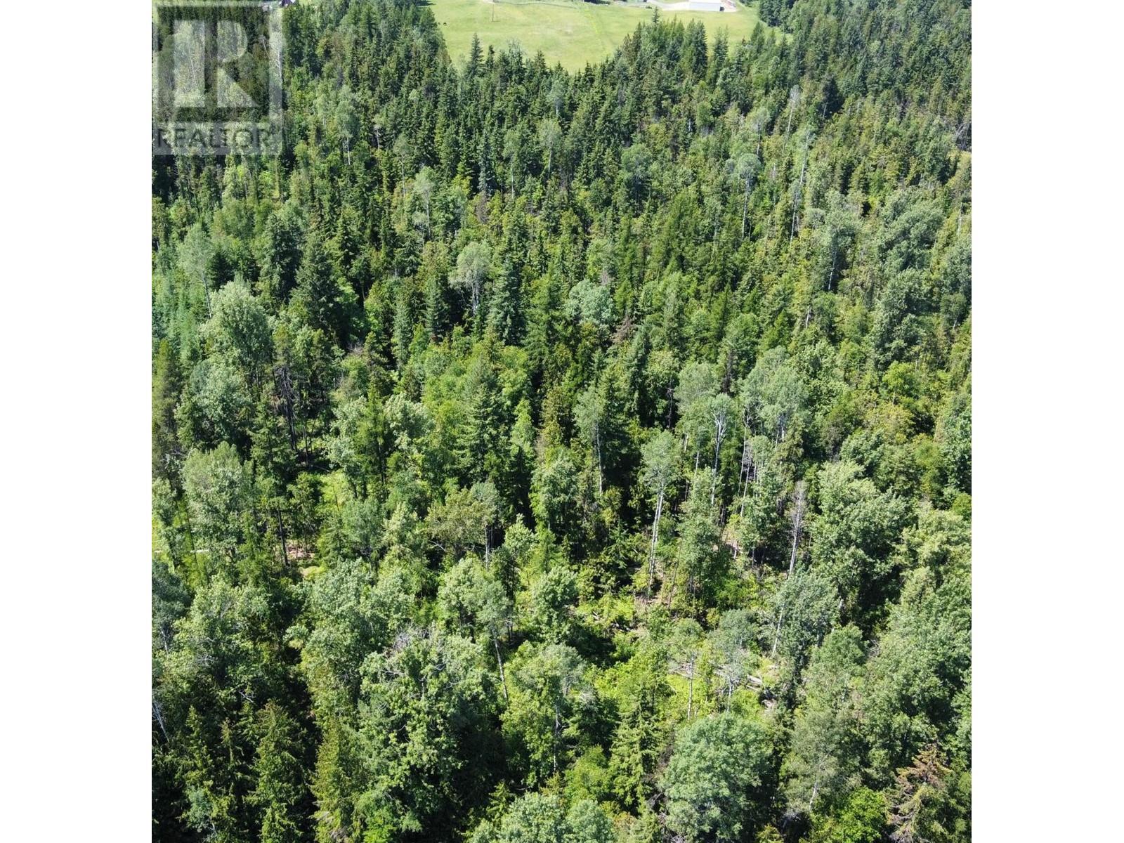 432 Alexander Road, Nakusp, British Columbia  V0G 1R1 - Photo 36 - 2474563