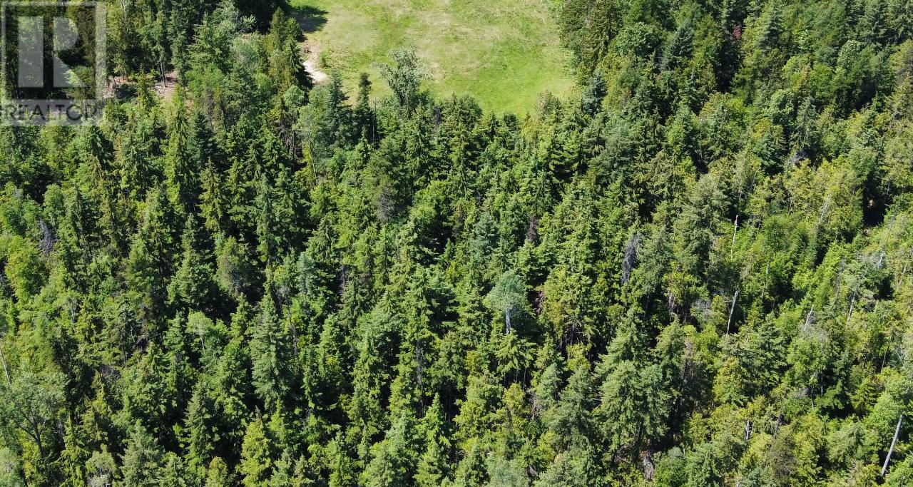 432 Alexander Road, Nakusp, British Columbia  V0G 1R1 - Photo 38 - 2474563