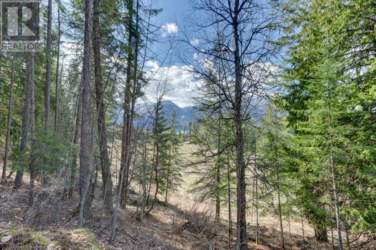 14448 3a Highway, Gray Creek, British Columbia  V0B 1S0 - Photo 12 - 2474989