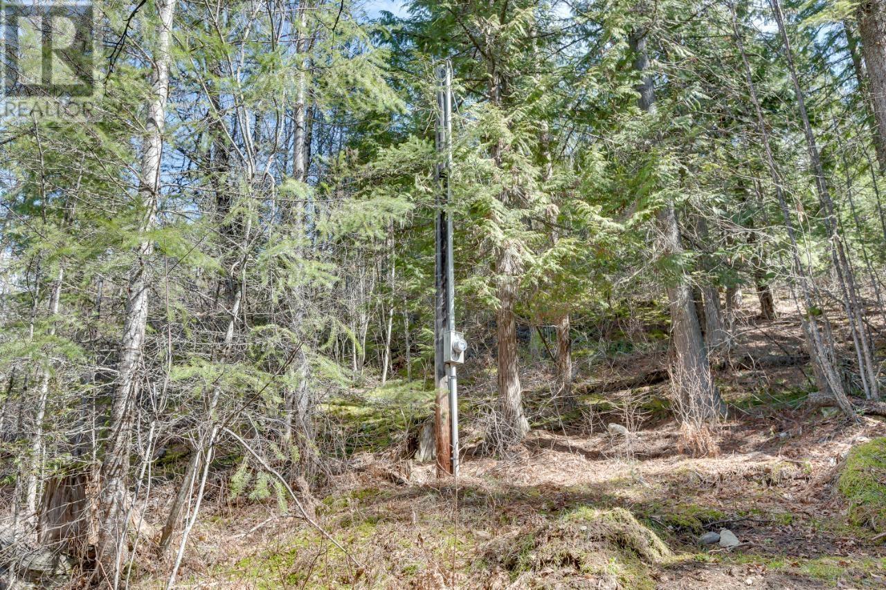 14448 3a Highway, Gray Creek, British Columbia  V0B 1S0 - Photo 13 - 2474989