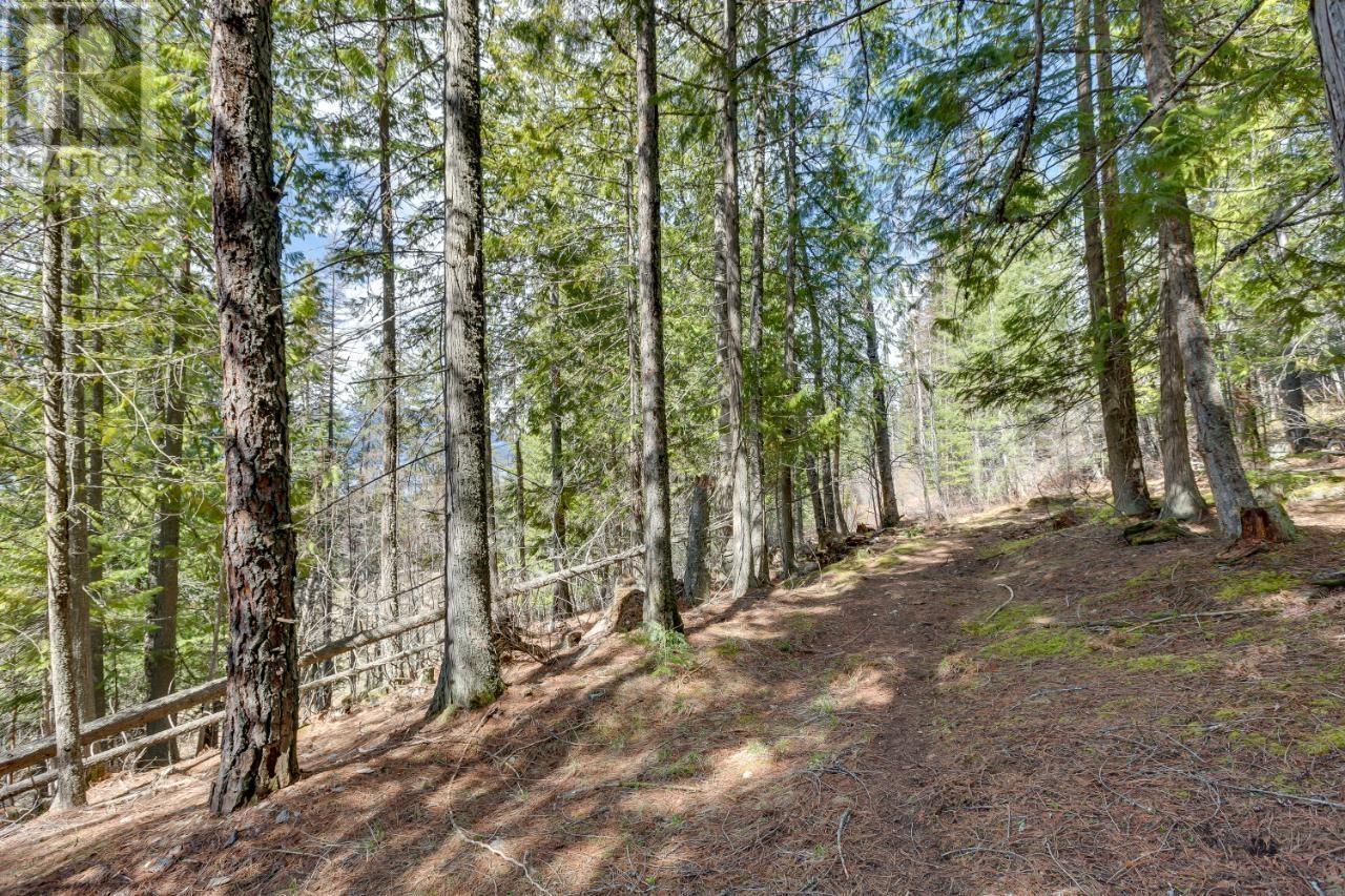 14448 3a Highway, Gray Creek, British Columbia  V0B 1S0 - Photo 14 - 2474989