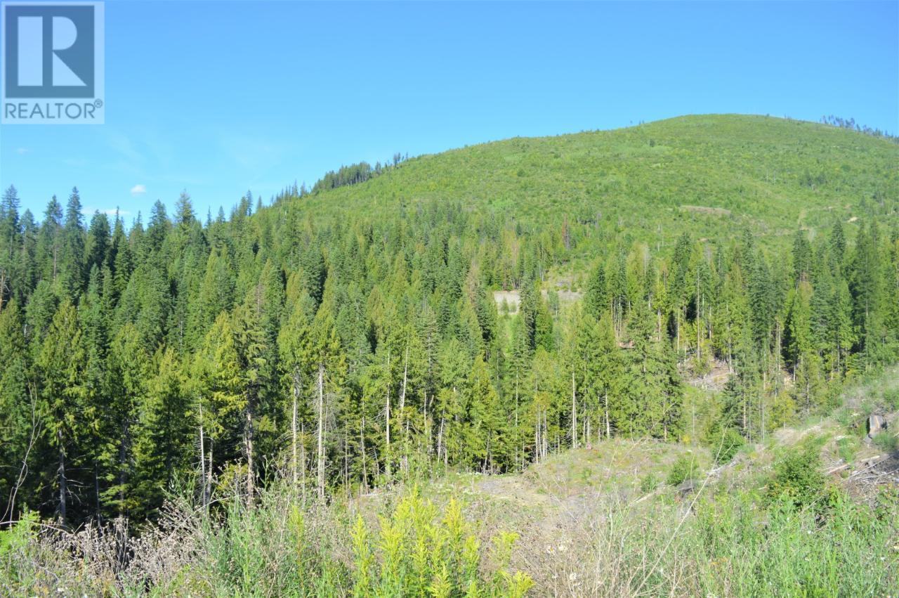 00 Seven Mile Dam Road, Fruitvale, British Columbia  V0G 1L0 - Photo 16 - 2475065