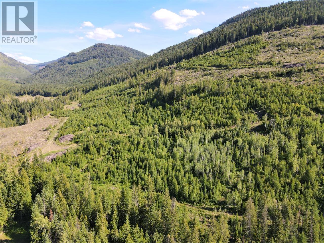 00 Seven Mile Dam Road, Fruitvale, British Columbia  V0G 1L0 - Photo 9 - 2475065