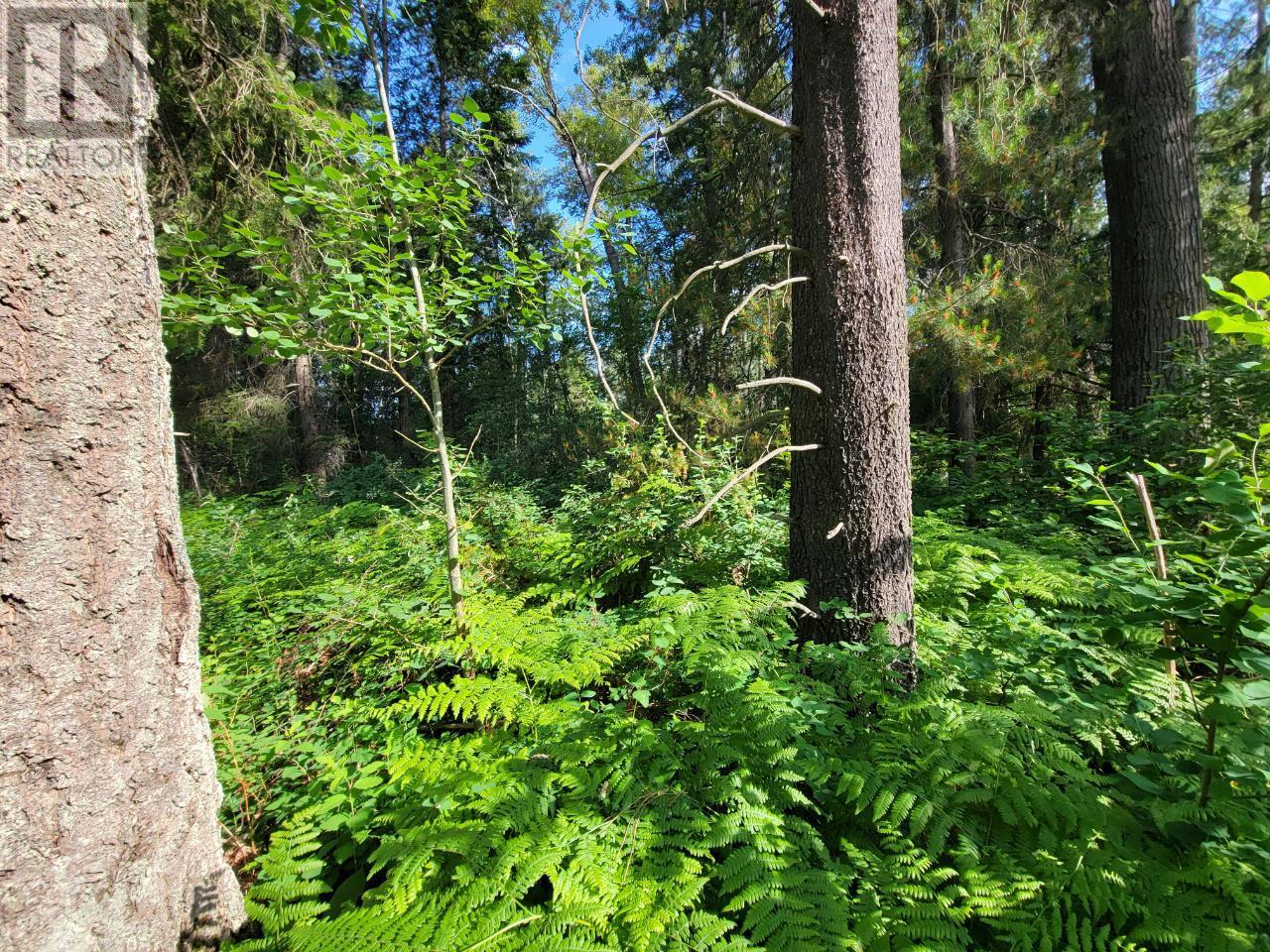 Lot 1 Passmore Old Road, Passmore, British Columbia  V0G 2J0 - Photo 13 - 2475230