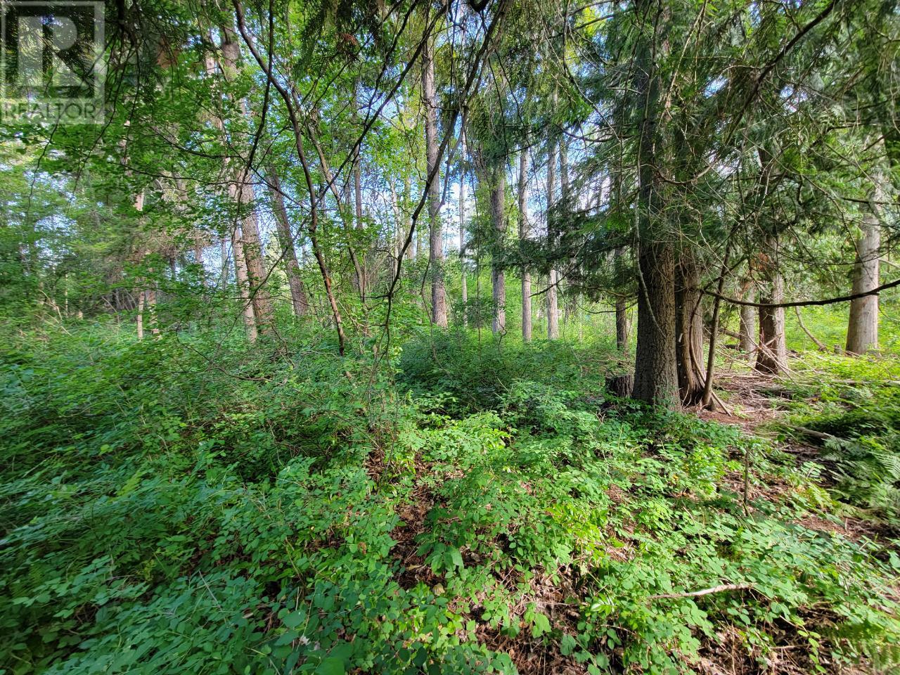 Lot 1 Passmore Old Road, Passmore, British Columbia  V0G 2J0 - Photo 15 - 2475230