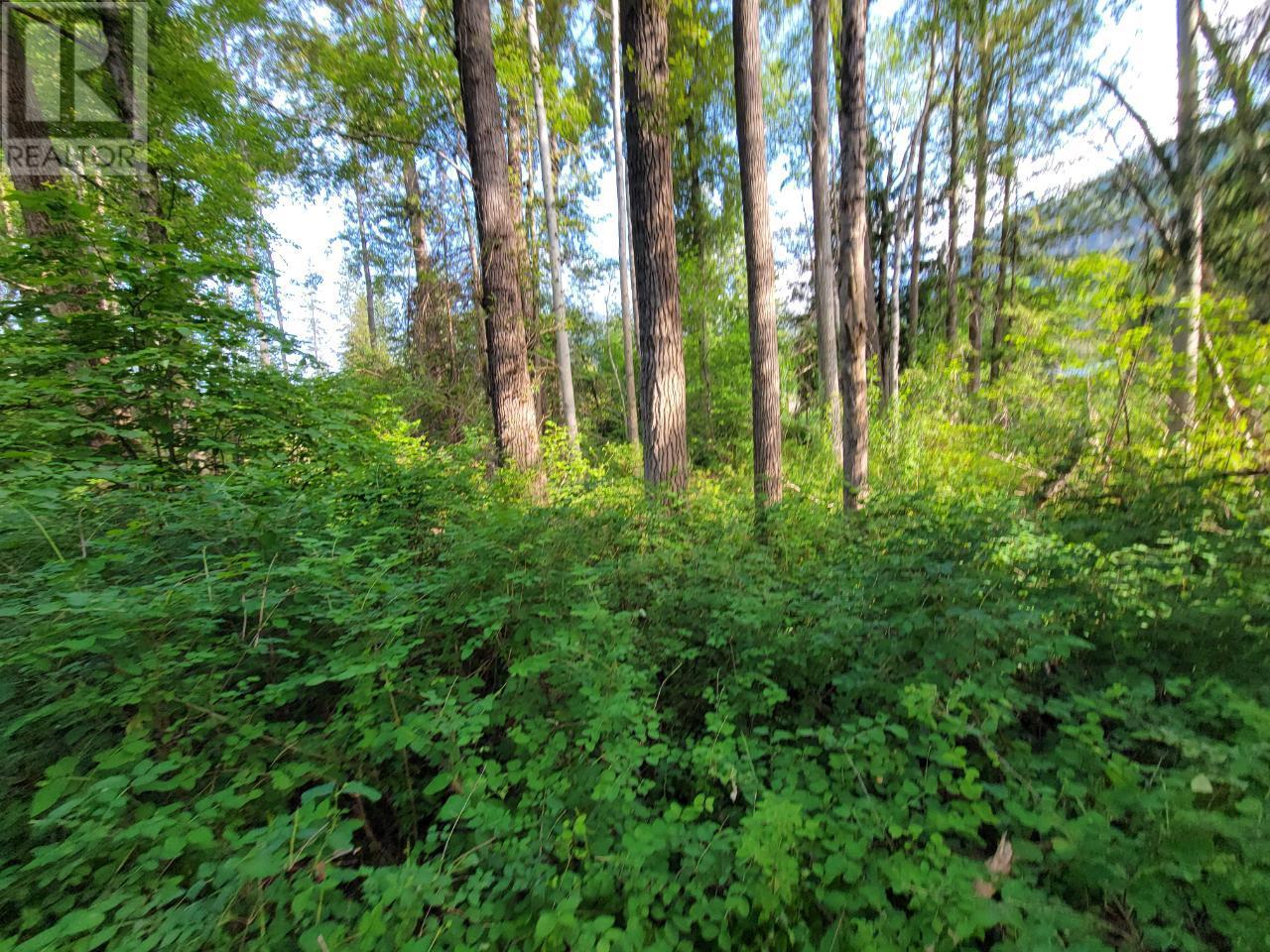 Lot 1 Passmore Old Road, Passmore, British Columbia  V0G 2J0 - Photo 16 - 2475230