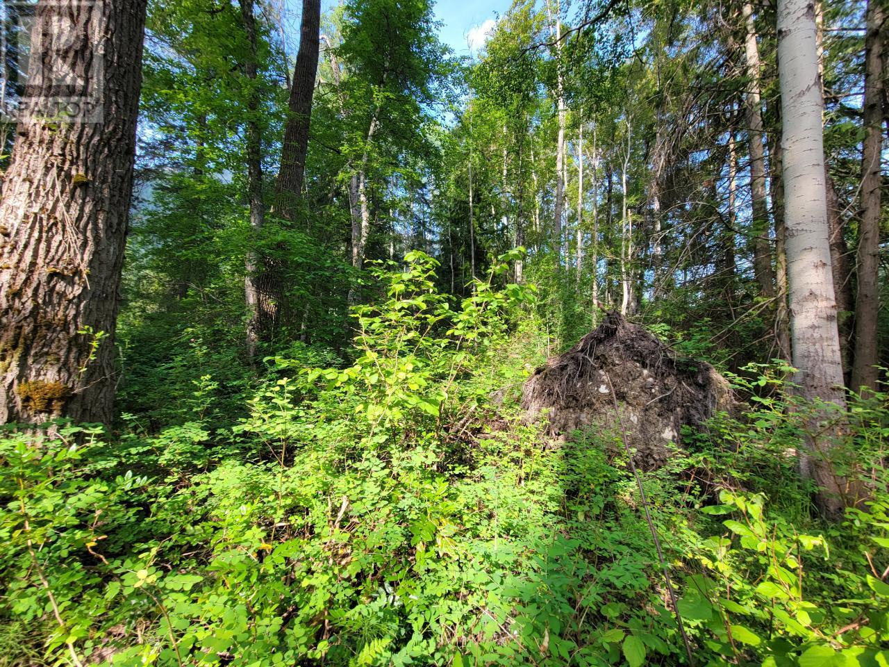 Lot 1 Passmore Old Road, Passmore, British Columbia  V0G 2J0 - Photo 17 - 2475230