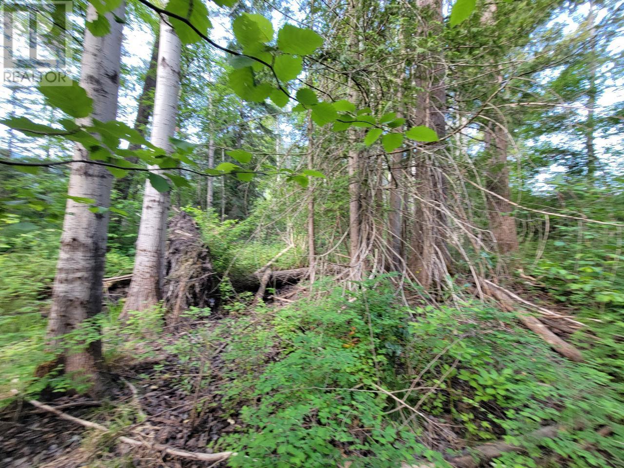 Lot 1 Passmore Old Road, Passmore, British Columbia  V0G 2J0 - Photo 19 - 2475230
