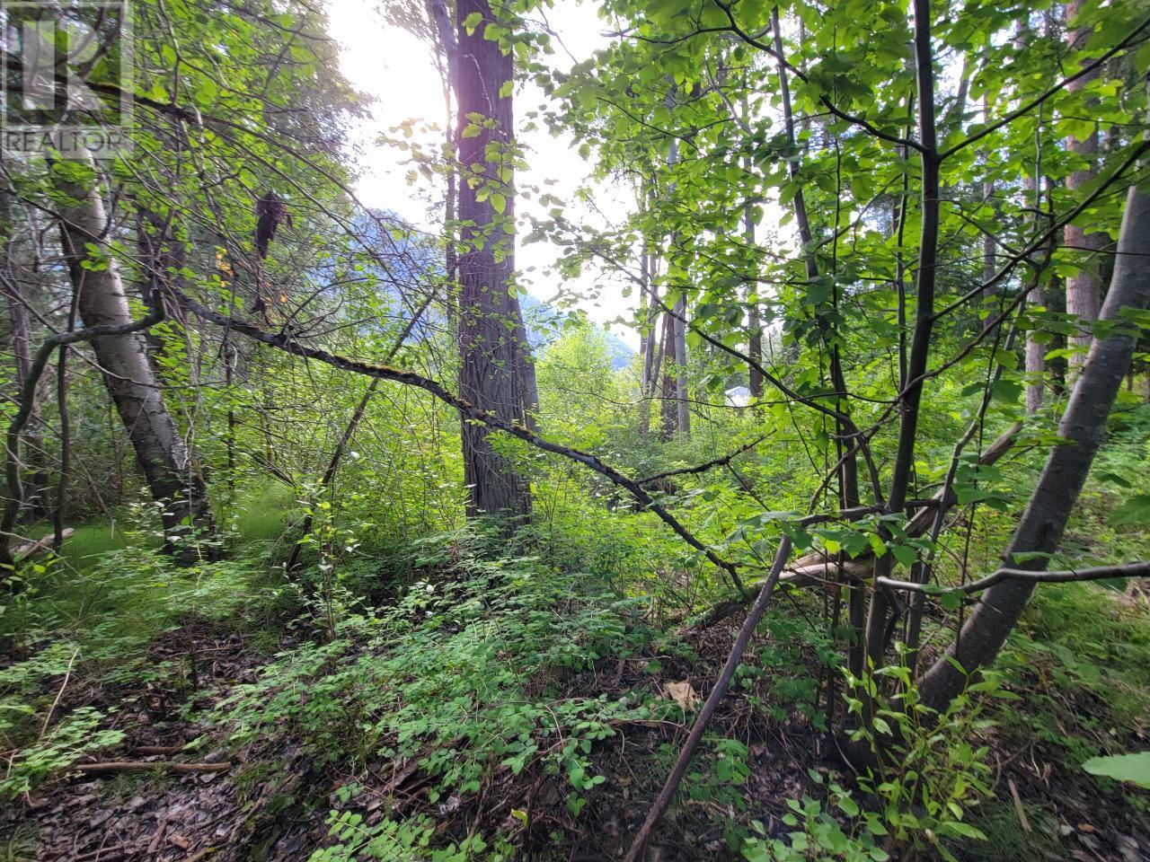 Lot 1 Passmore Old Road, Passmore, British Columbia  V0G 2J0 - Photo 20 - 2475230