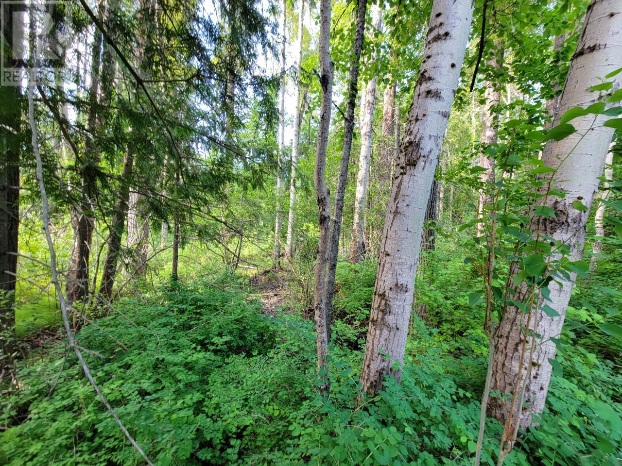 Lot 1 Passmore Old Road, Passmore, British Columbia  V0G 2J0 - Photo 21 - 2475230