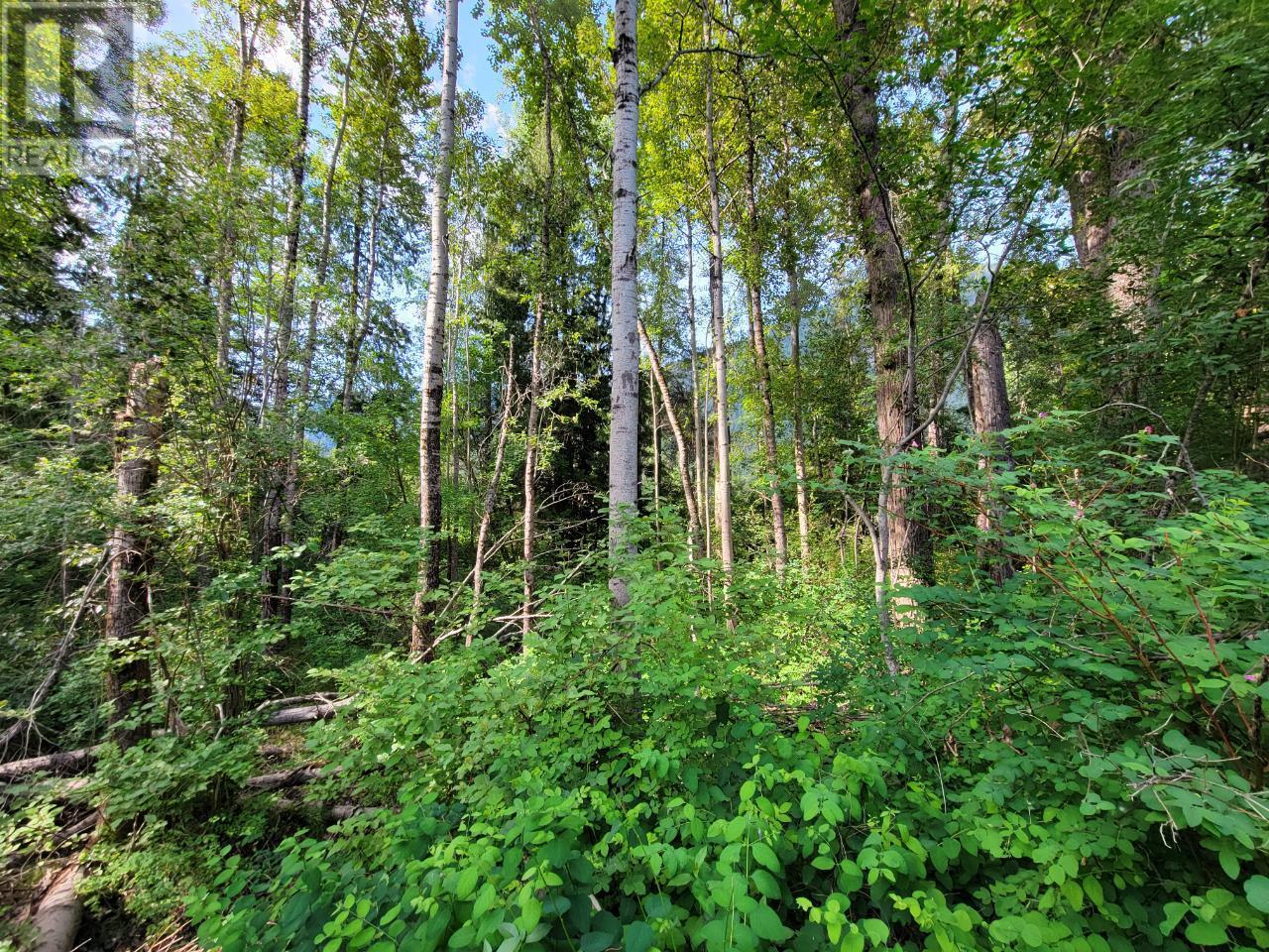 Lot 1 Passmore Old Road, Passmore, British Columbia  V0G 2J0 - Photo 23 - 2475230