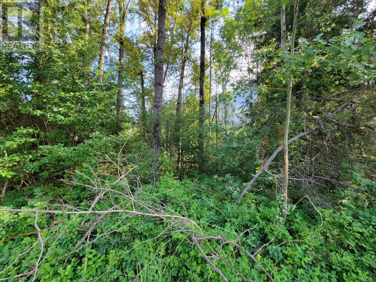 Lot 1 Passmore Old Road, Passmore, British Columbia  V0G 2J0 - Photo 25 - 2475230