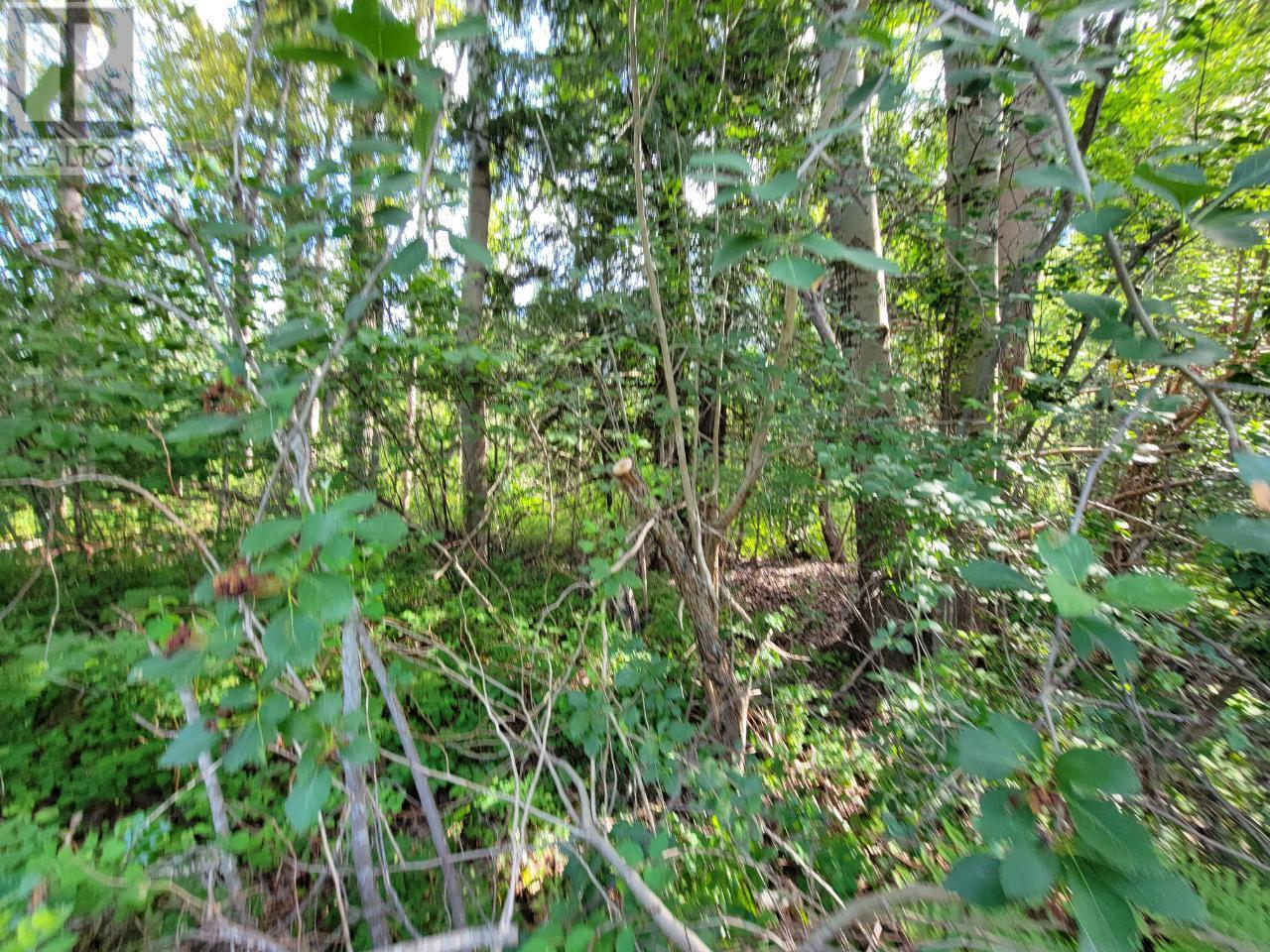 Lot 1 Passmore Old Road, Passmore, British Columbia  V0G 2J0 - Photo 26 - 2475230