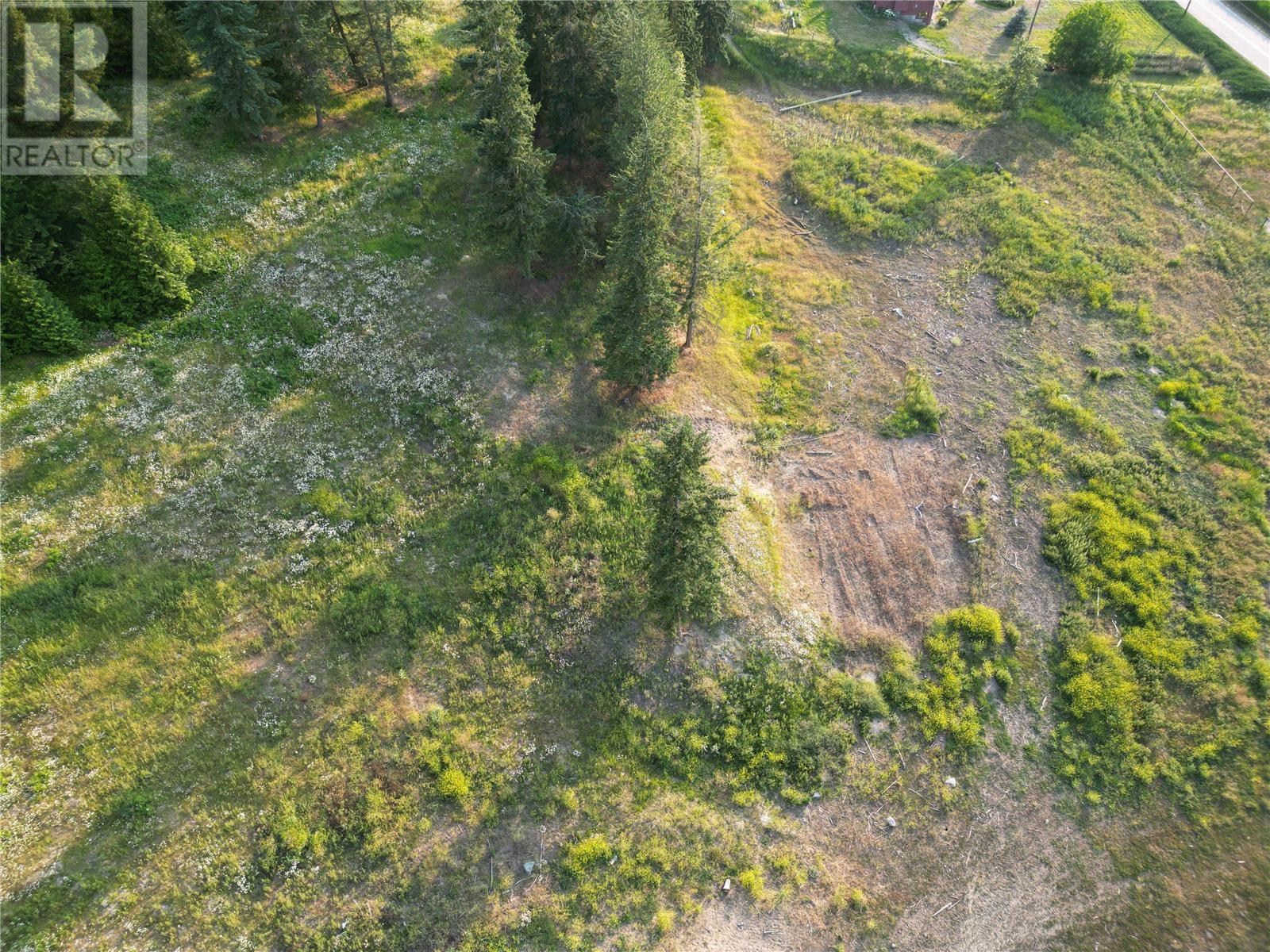 5115 Salmon River Road, Armstrong, British Columbia  V0E 1B4 - Photo 3 - 10306342