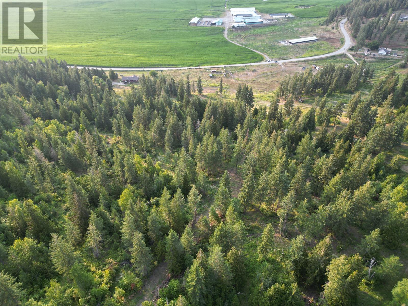 5115 Salmon River Road, Armstrong, British Columbia  V0E 1B4 - Photo 7 - 10306342