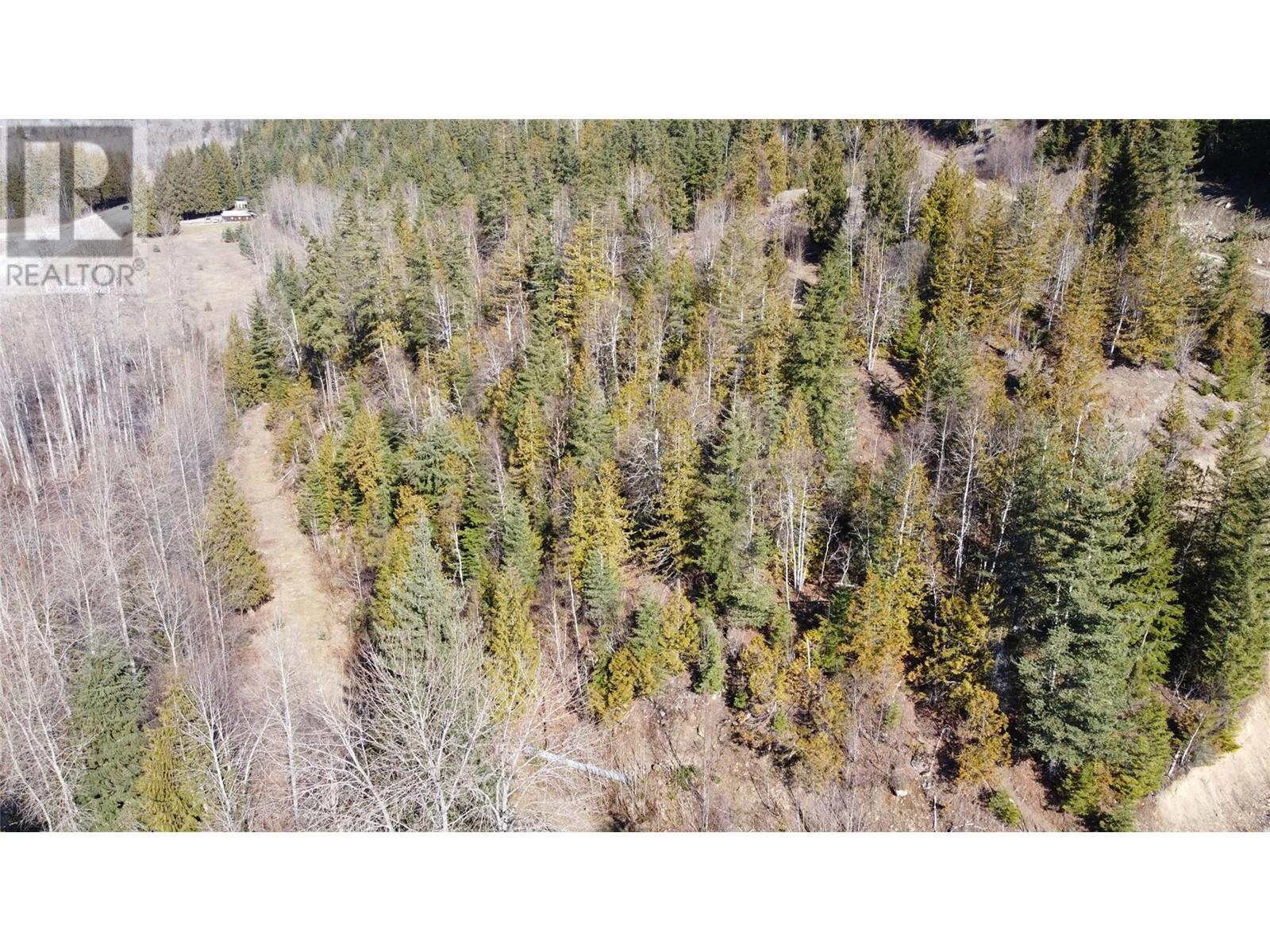 000 Trans Canada Highway, Sicamous, British Columbia  V0E 2V0 - Photo 18 - 10307495