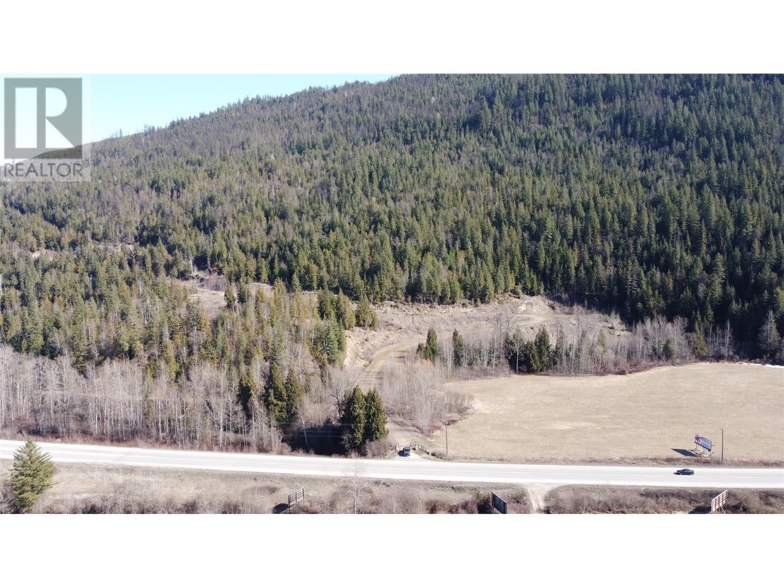 000 Trans Canada Highway, Sicamous, British Columbia  V0E 2V0 - Photo 8 - 10307495