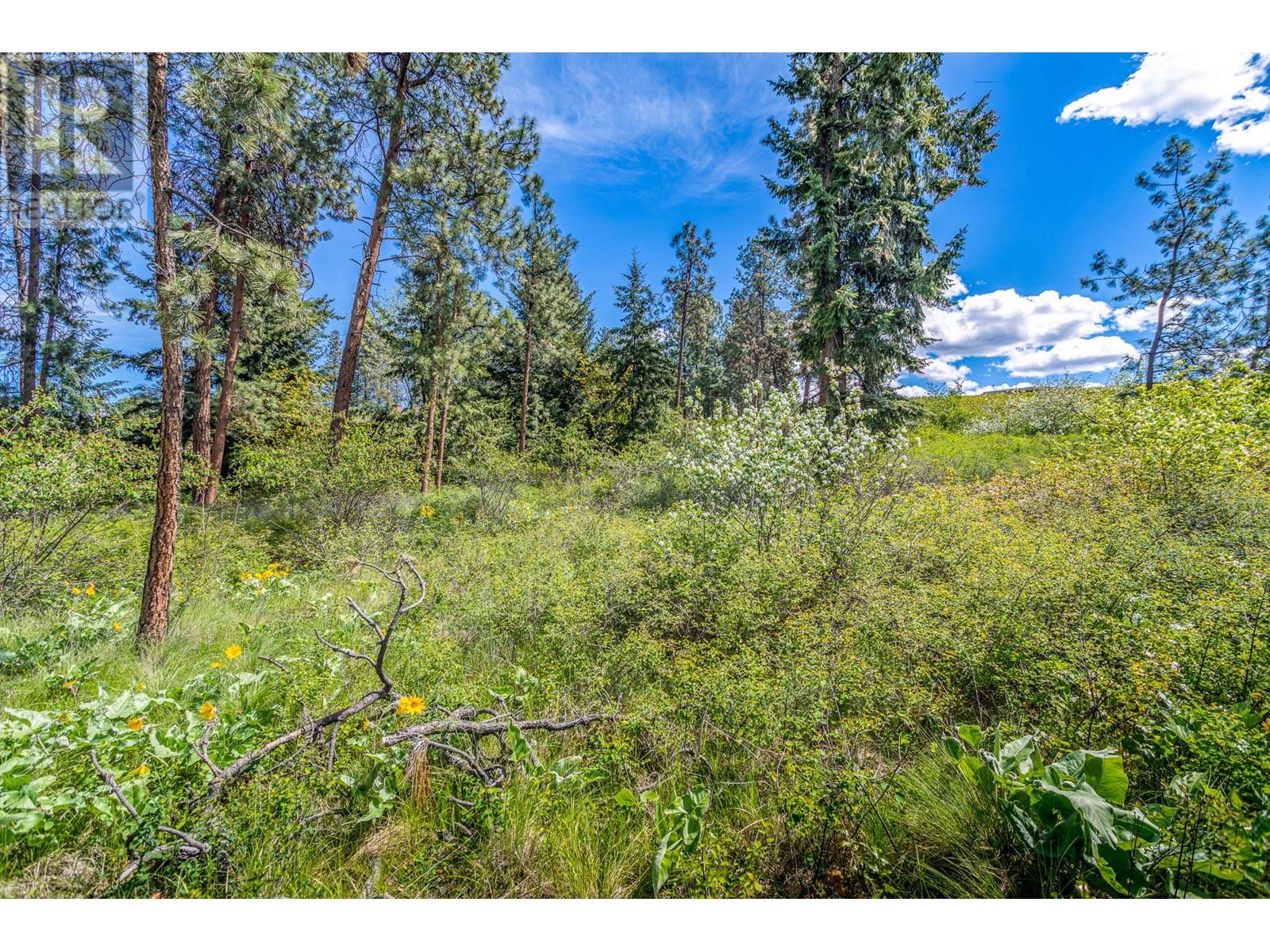 4729 Lakeshore Road, Kelowna, British Columbia  V1W 4H6 - Photo 63 - 10307572