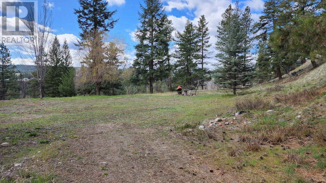 306 Jacobson Road, Princeton, British Columbia  V0X 1W0 - Photo 6 - 10308455