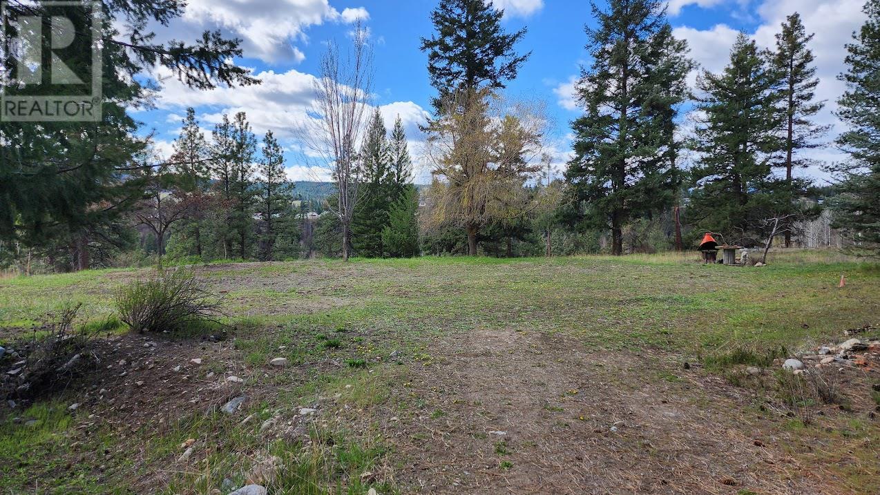 306 Jacobson Road, Princeton, British Columbia  V0X 1W0 - Photo 7 - 10308455
