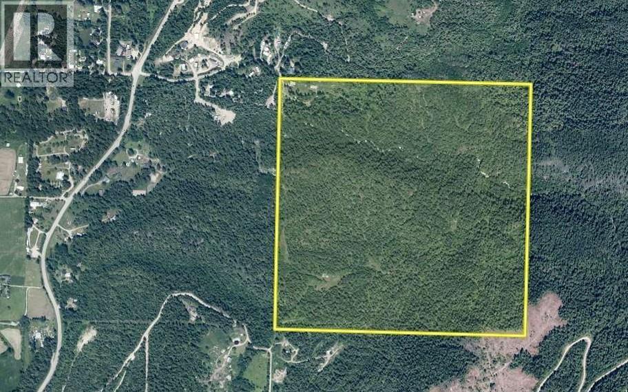 50 East Poirier Road, Mara, British Columbia  V0E 2K0 - Photo 11 - 10308875