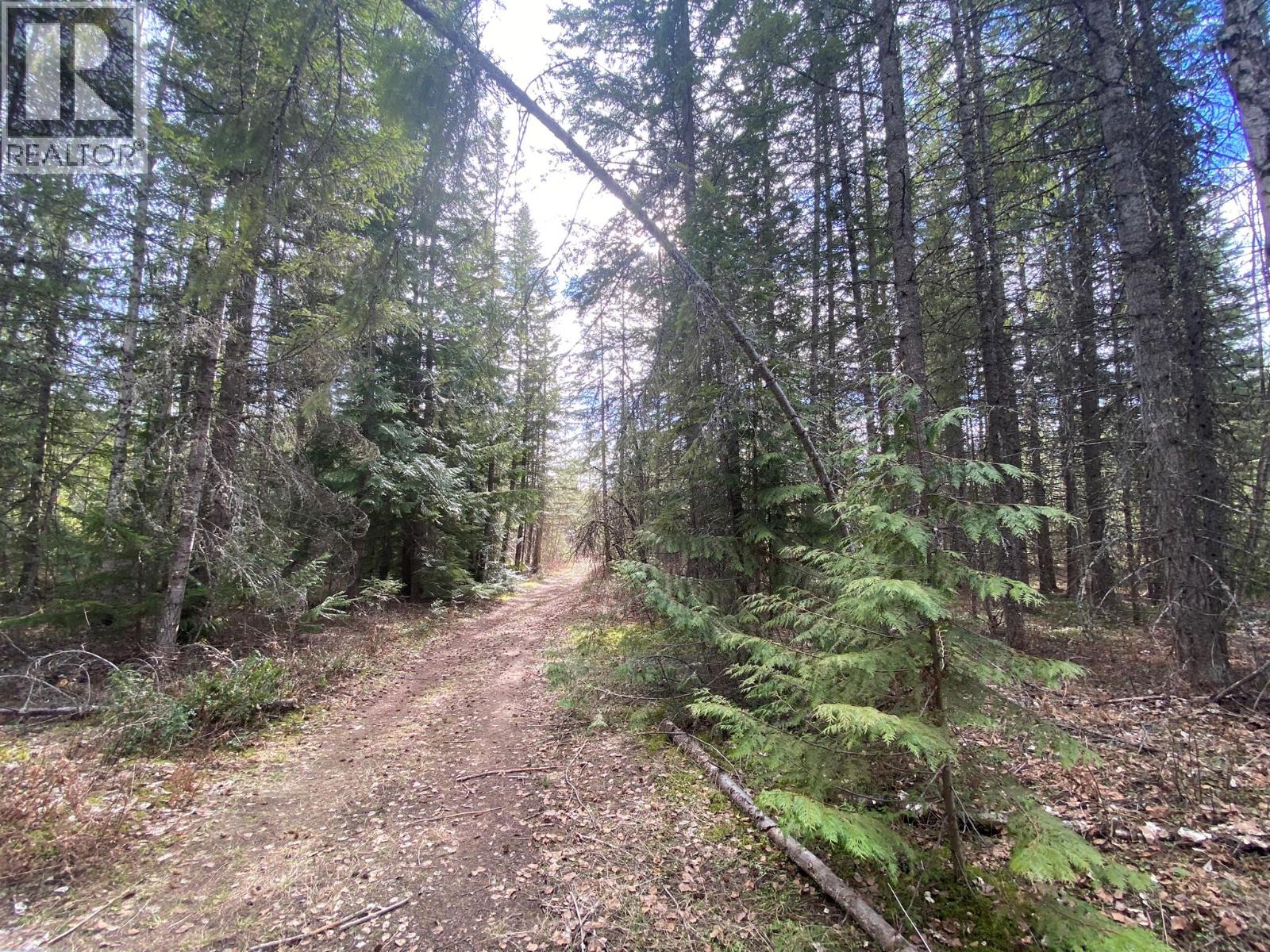 50 East Poirier Road, Mara, British Columbia  V0E 2K0 - Photo 14 - 10308875