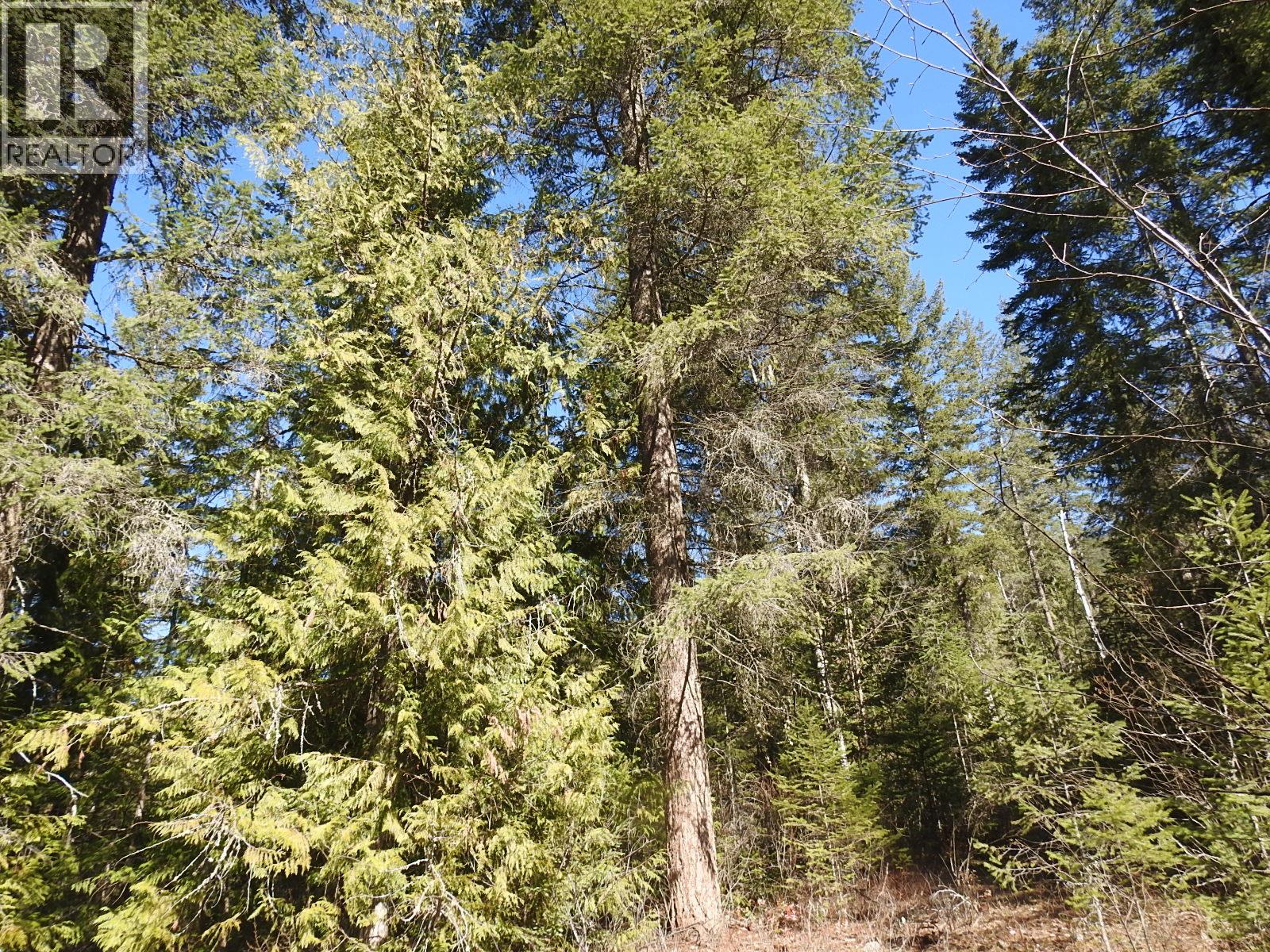 50 East Poirier Road, Mara, British Columbia  V0E 2K0 - Photo 19 - 10308875