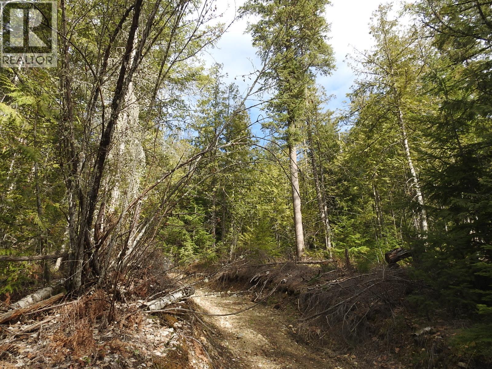 50 East Poirier Road, Mara, British Columbia  V0E 2K0 - Photo 21 - 10308875