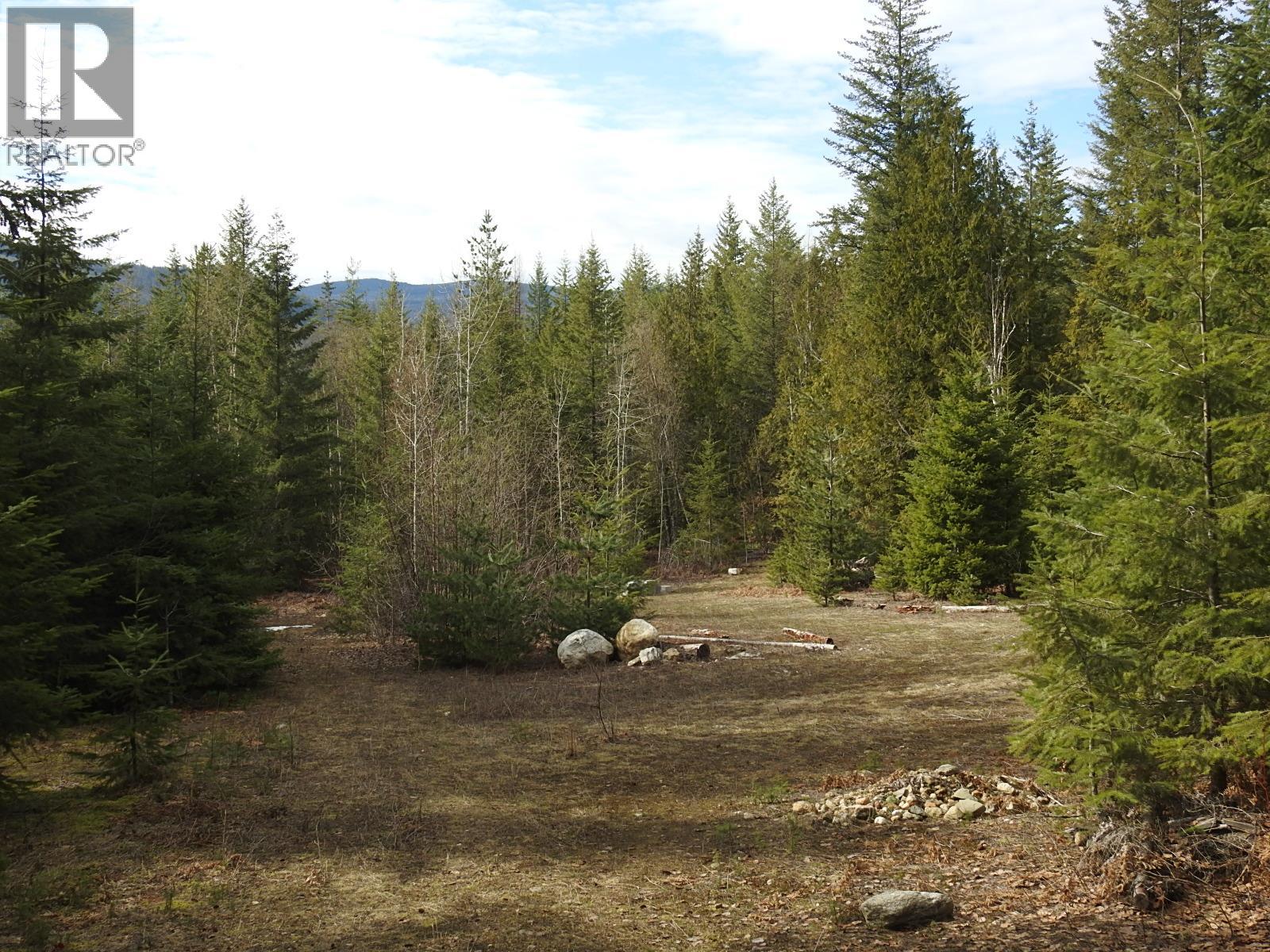 50 East Poirier Road, Mara, British Columbia  V0E 2K0 - Photo 22 - 10308875