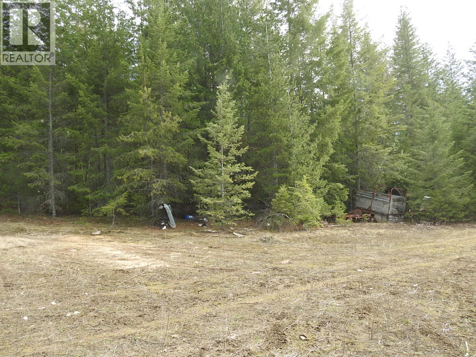 50 East Poirier Road, Mara, British Columbia  V0E 2K0 - Photo 25 - 10308875
