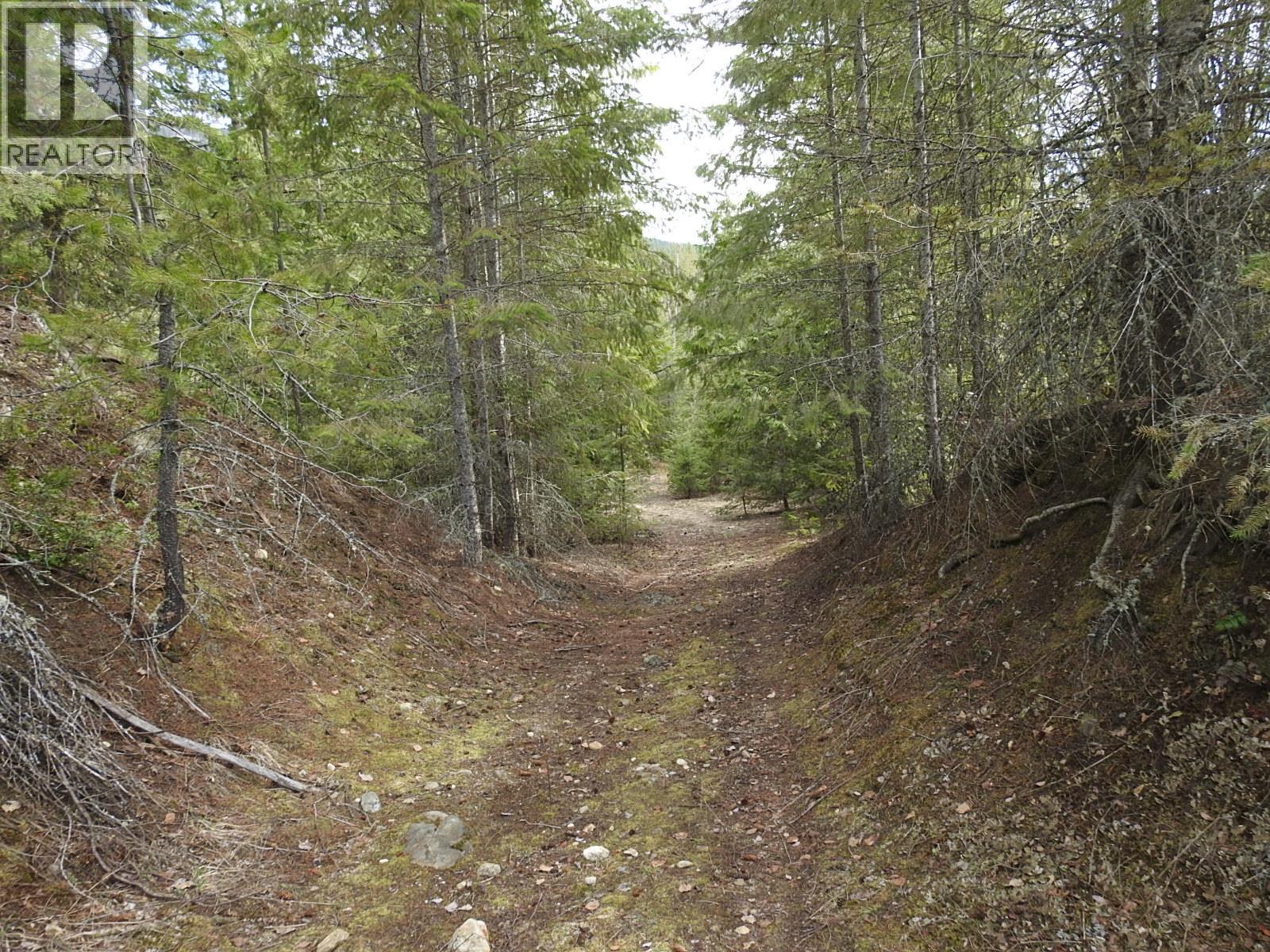 50 East Poirier Road, Mara, British Columbia  V0E 2K0 - Photo 30 - 10308875