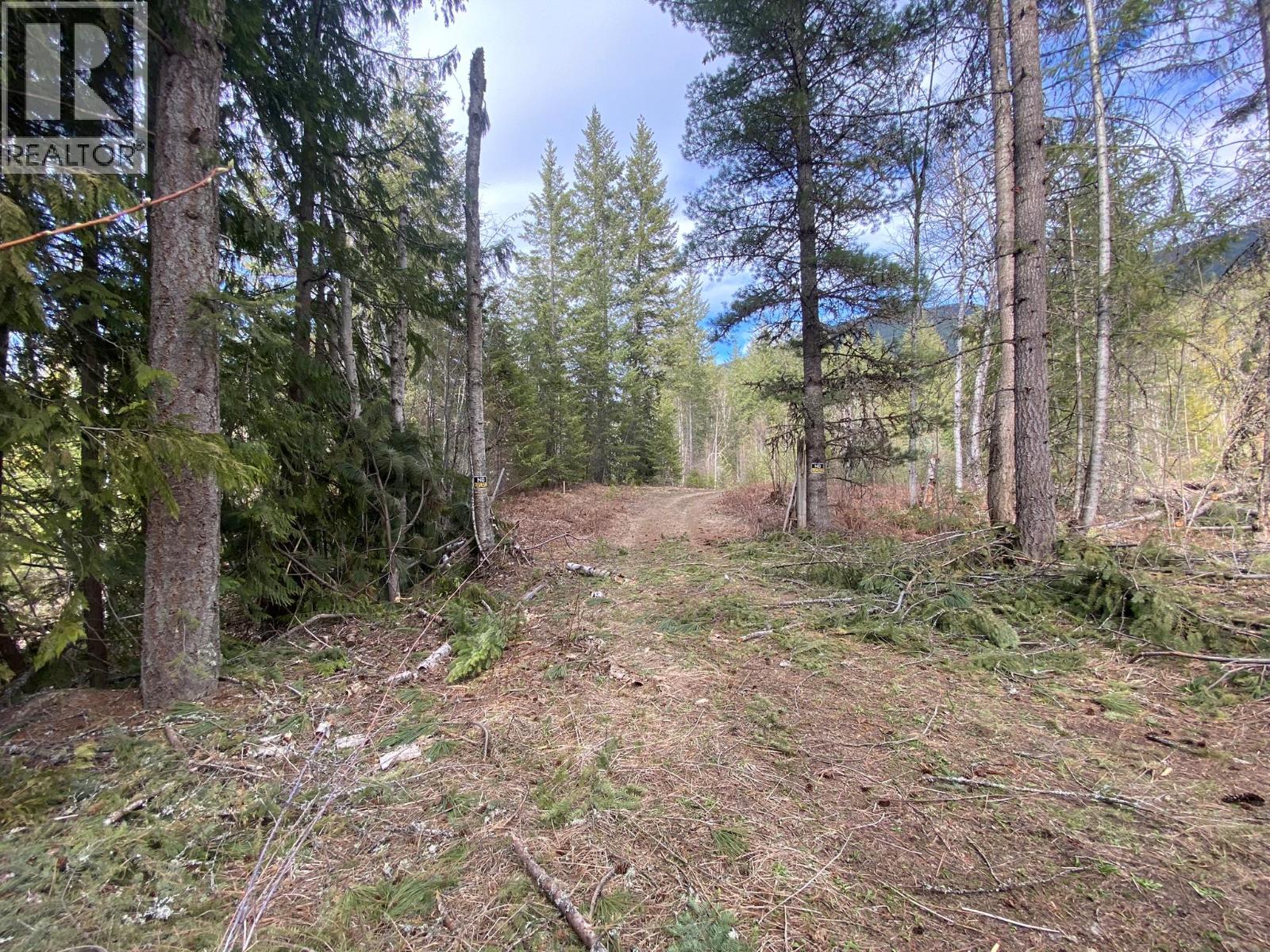 50 East Poirier Road, Mara, British Columbia  V0E 2K0 - Photo 46 - 10308875