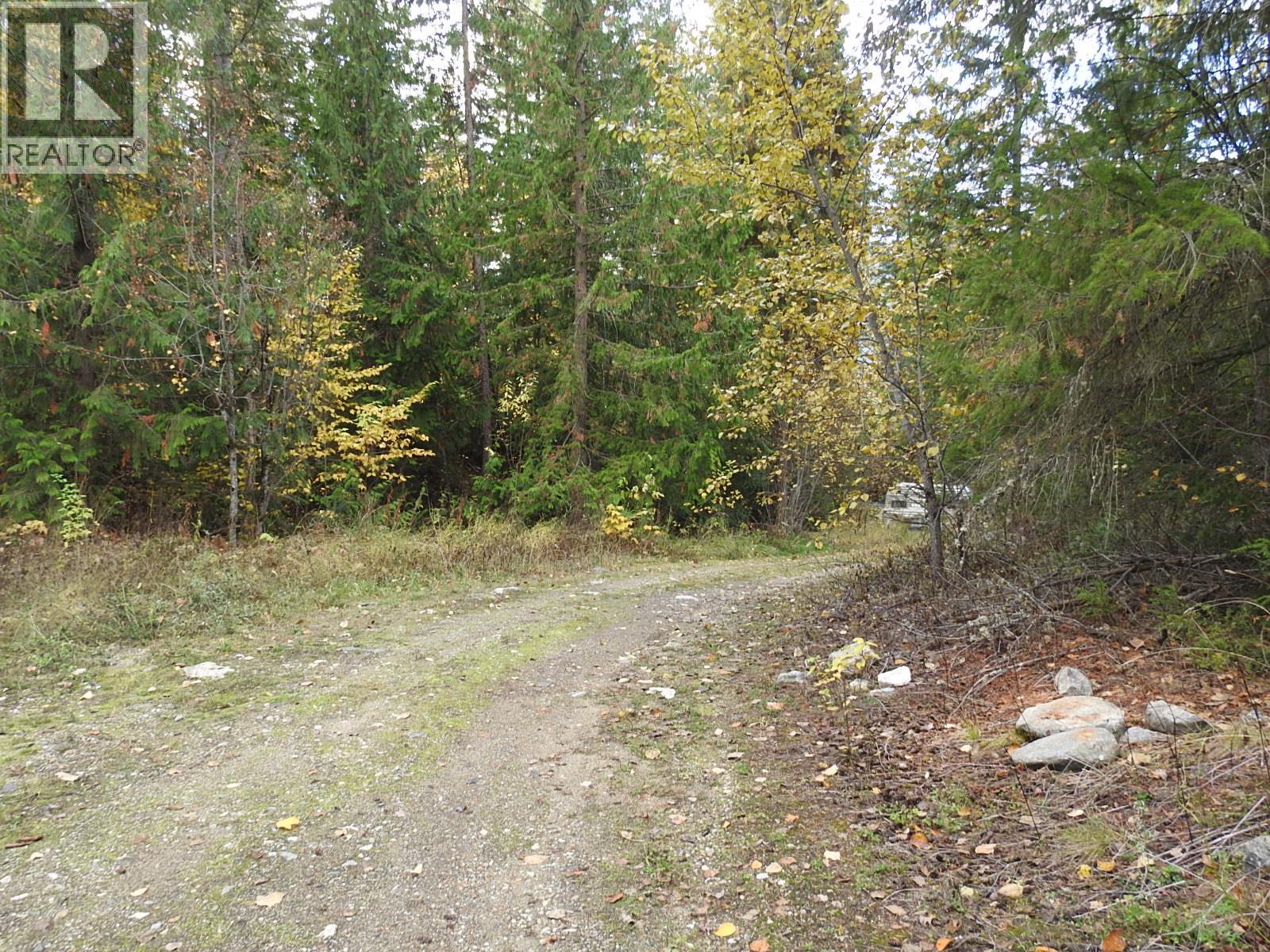 50 East Poirier Road, Mara, British Columbia  V0E 2K0 - Photo 54 - 10308875
