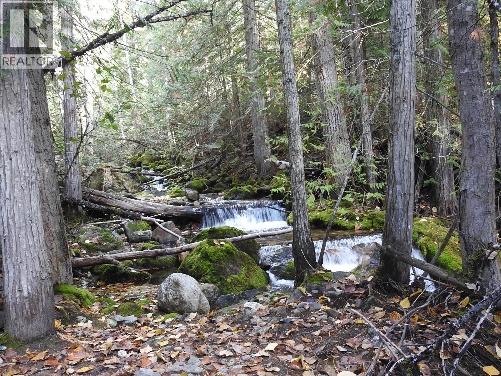 50 East Poirier Road, Mara, British Columbia  V0E 2K0 - Photo 62 - 10308875