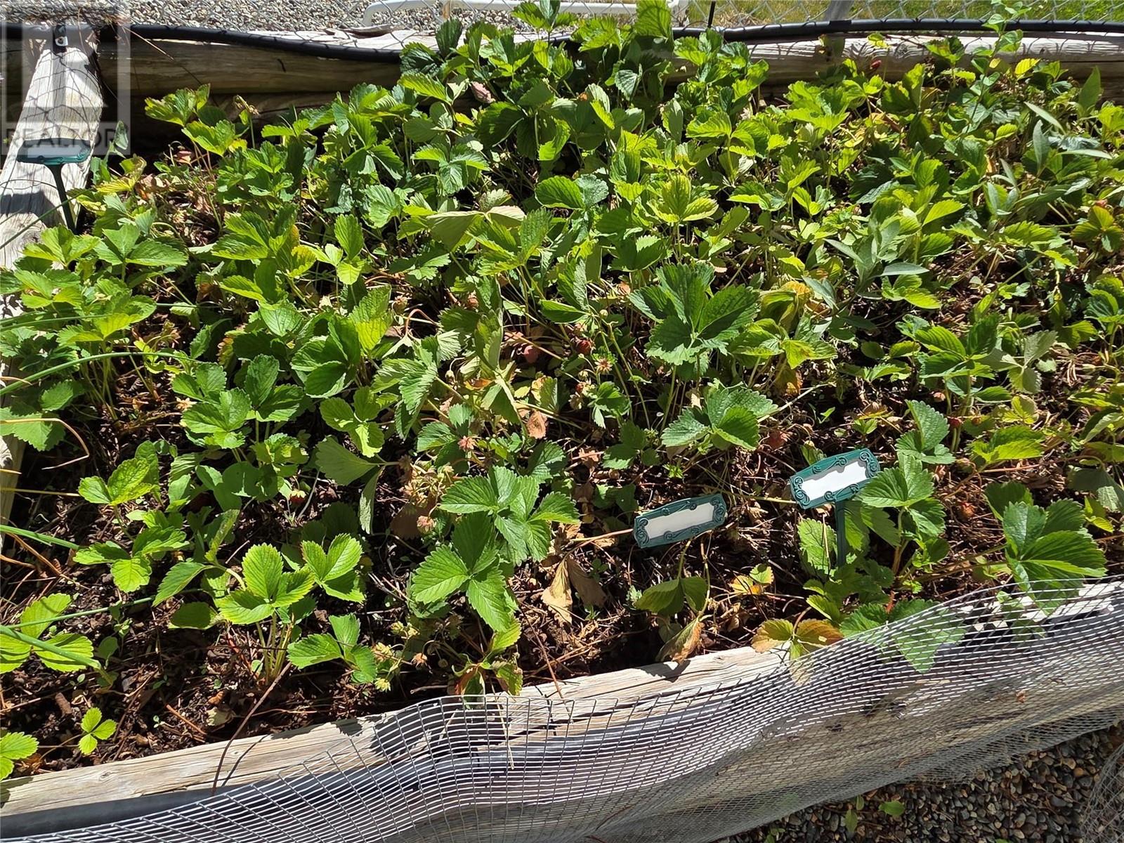 3455 Highway 3 Unit# 4, Keremeos, British Columbia  V0X 1N1 - Photo 52 - 10311478