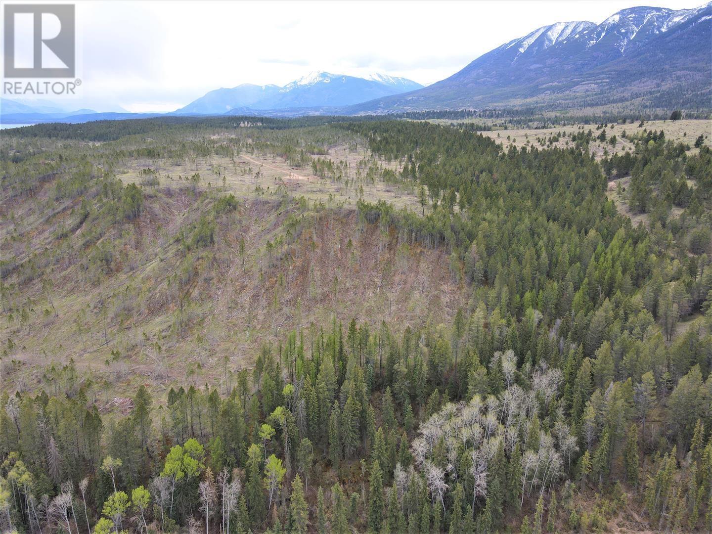 Lot 1 Hardie Creek Road, Invermere, British Columbia  V0B 1L2 - Photo 12 - 2476707